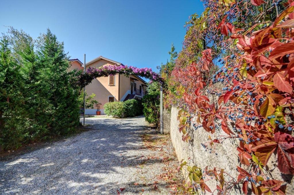 Residence Villa Andrea Marina di Camerota Exteriör bild